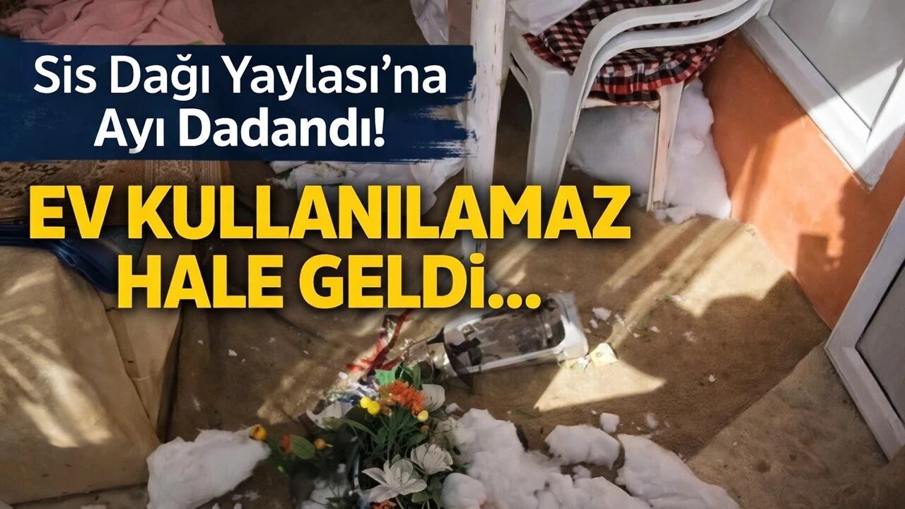 Sis Dağı’nda Kabus: Ayı, Yayla Evini Harabeye Çevirdi!